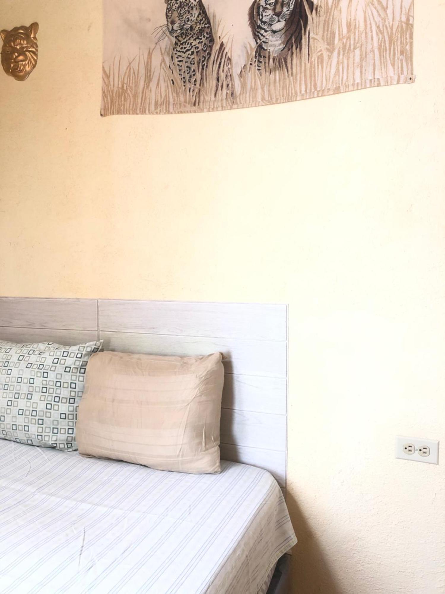 Hospedaje Basico El Jaguar Hotel Antigua Luaran gambar